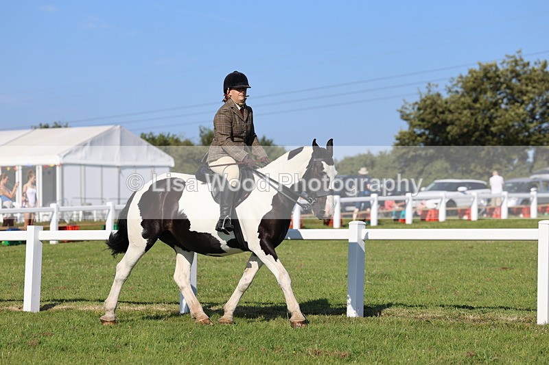 IMG_1475 - Class 30: Ridden Native/Trad Coloured Pony