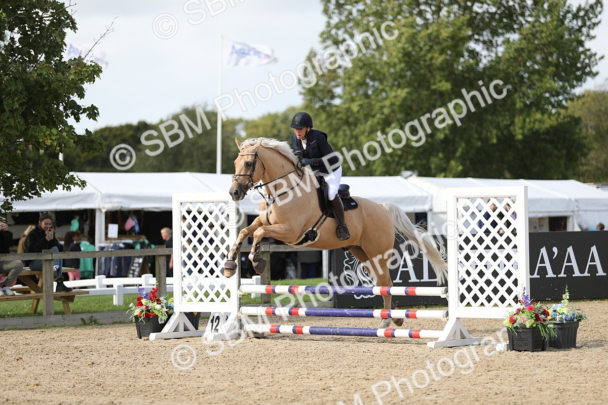 SBM_05746 - J35 - Veteran Rider 60cm