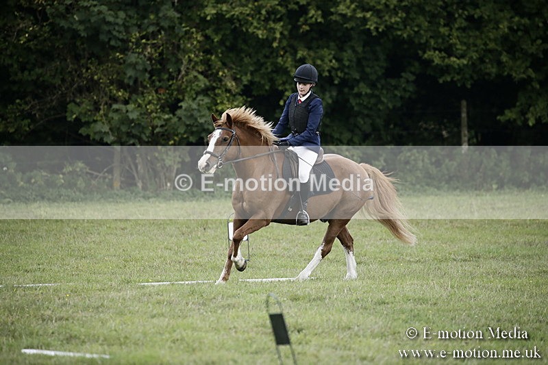 BVR090918 240 - BVRC Dressage and Show Jumping 09/09/18