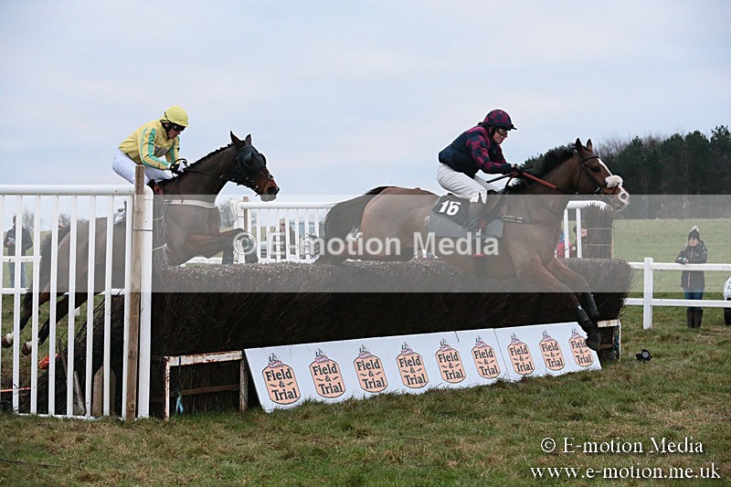 PtP 060119 581 - Larkhill Racing Club - Point-to-Point- 06/01/2019
