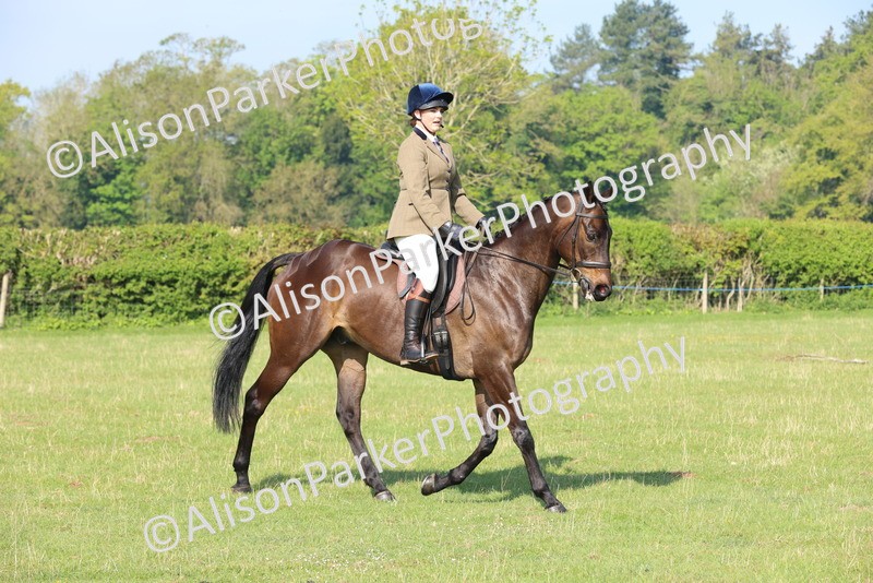 20250427-0499 - Class 17 - Novice Showing