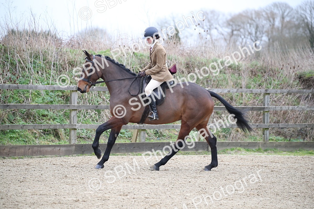 SBM_004752 - Class 5-9 - NPS In Hand-Show Hunter-Intermediate Ridden Inc Ridden Championship