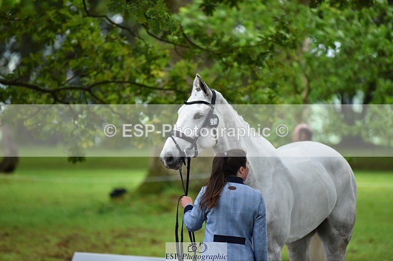 240522-165126-01202 - 225-SLEEHAUN_DANCER-Megan_Lawrence