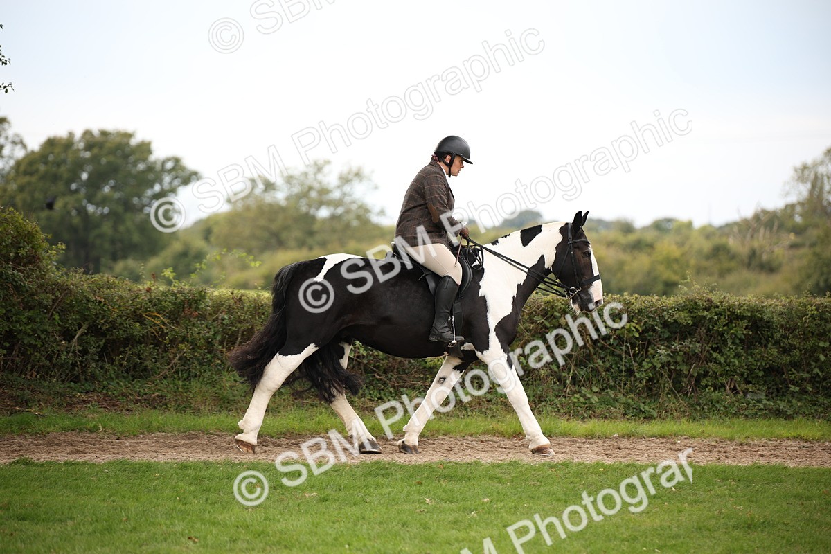 SBM_72349 - S67 - Show Cob Ridden