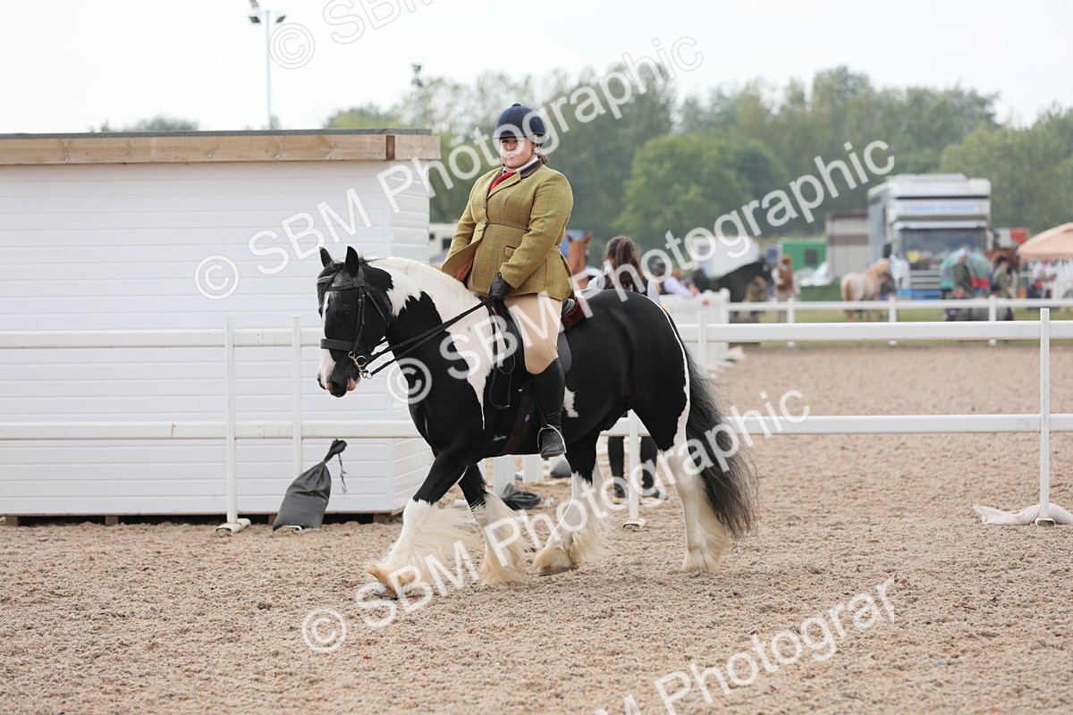 SBM_12757 - Class 307 Ridden Coloured Pony