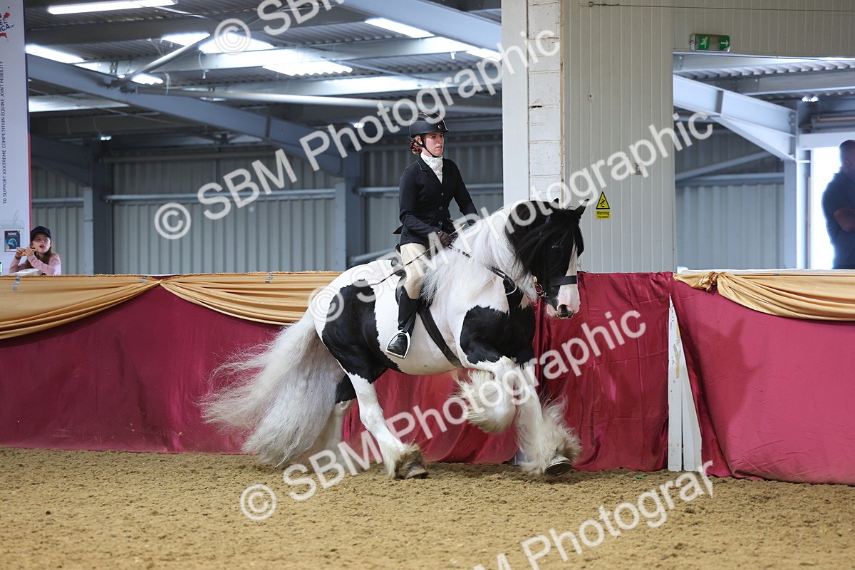 SBM_24354 - Class 906 - Supreme Final - Ridden Pre Vet