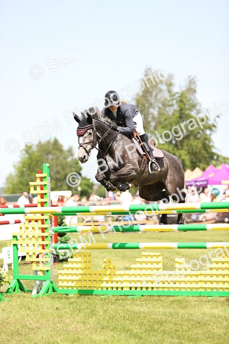 SBM_04023 - Class 201 - British Horse Feedds Speedi Beet HOYS Grade C