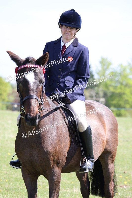 20250427-3262 - Class 33 - Best Pony 14.2hh and Under