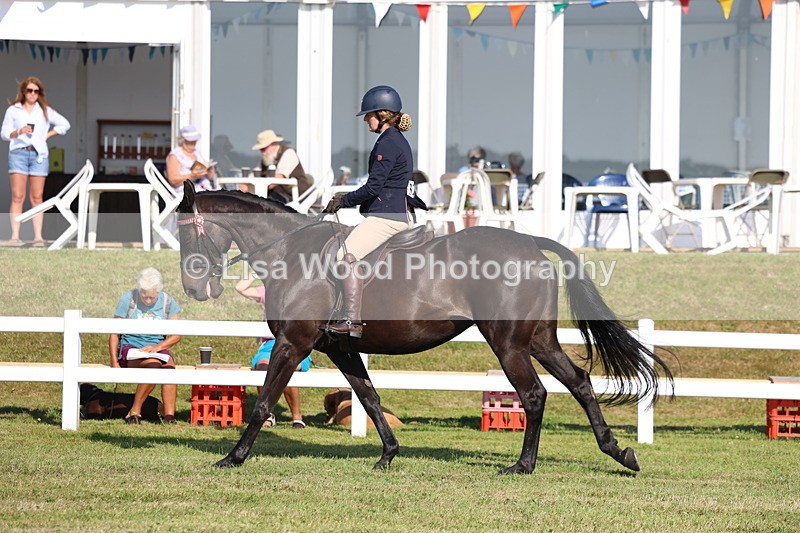 3E7A5614 - Class 2: Rising Star Large Hack/Riding Horse