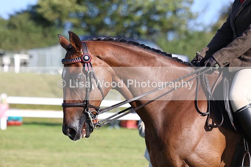 3E7A5099 - Class 1: Rising Star Small Hack/Riding Horses