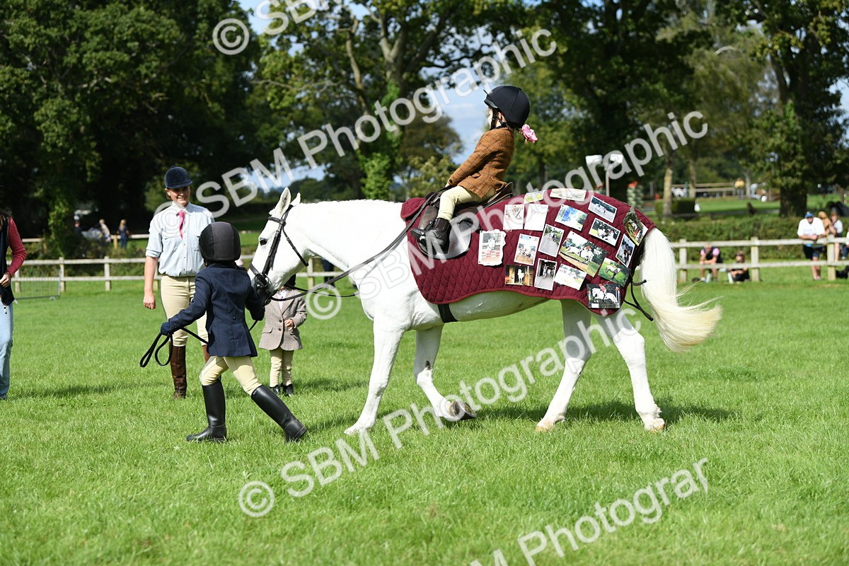 SBM_46789 - S12 - Family Horse & Pony