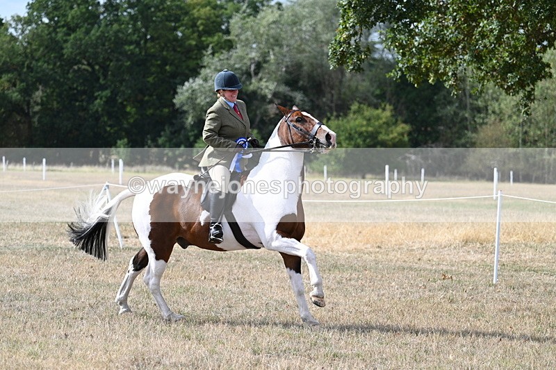 WJ7_7503 - Class 14 Ridden Coloured