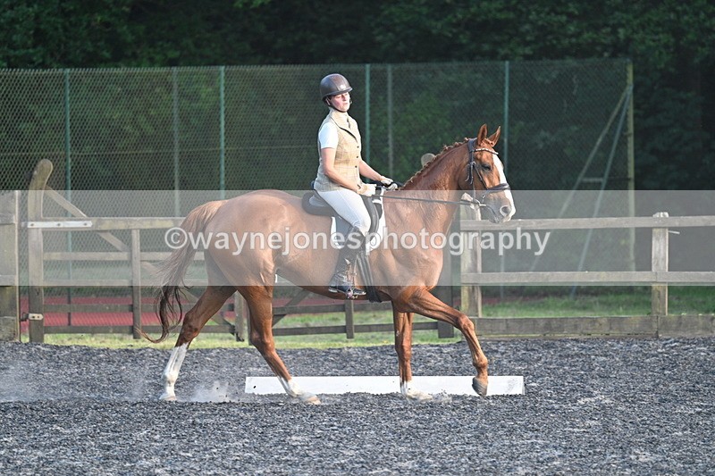 WJ7_0311 - Time 19:38 to 20:00