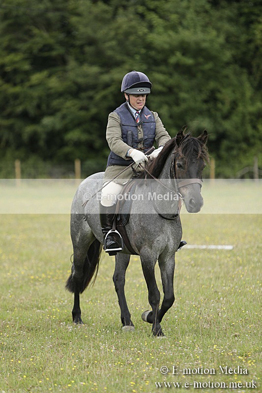 BVR160717-648 - Class 1 & 23a Dressage 16/07/17