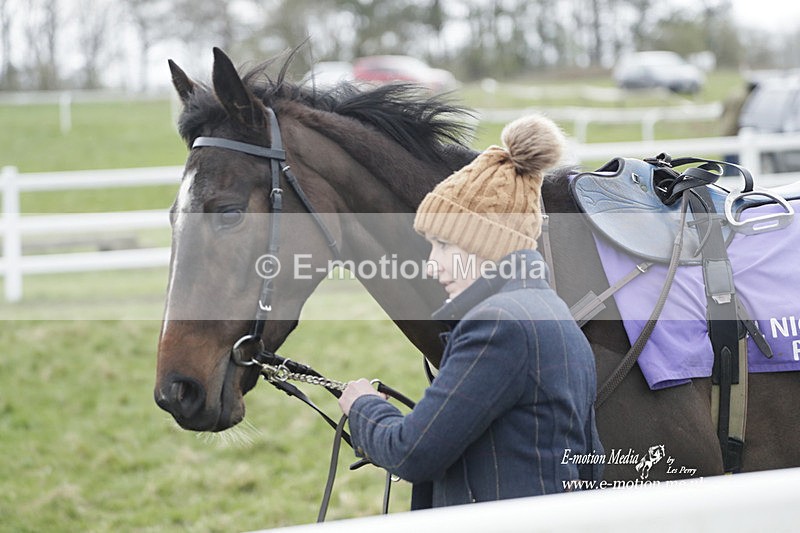 PtP 260323 1074 - New Forest Hounds Point-to-Point Larkhill 26/03/23