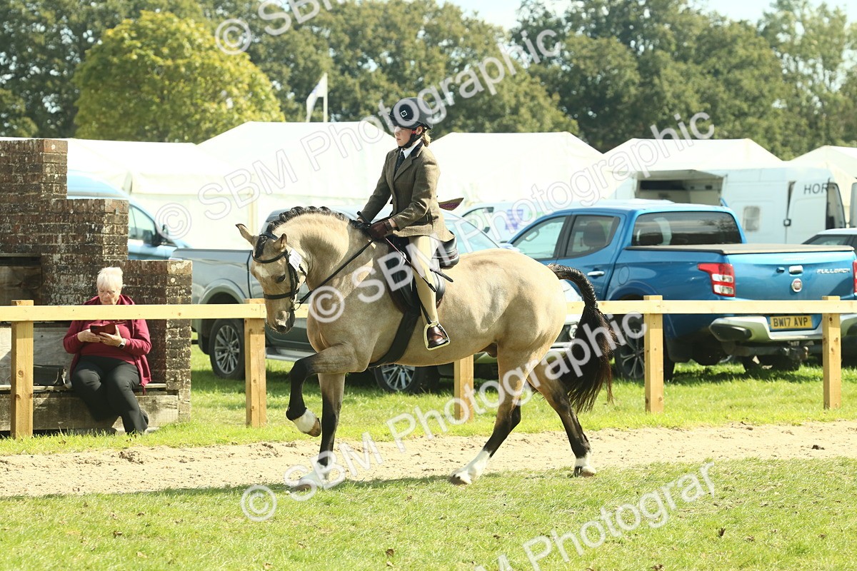 SBM_67624 - S56 - Coloured Pony Ridden