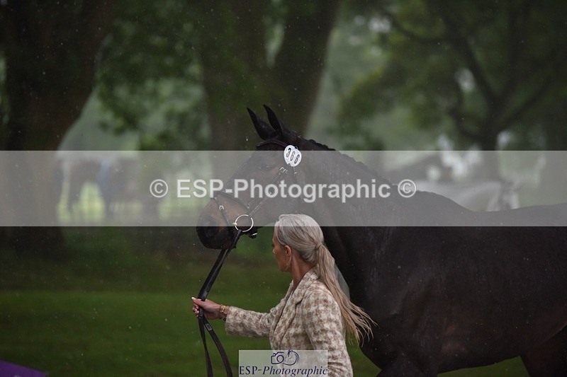 240522-151608-00214 - 366-GYPSIE_DU_LOIR-Yasmin_Ingham