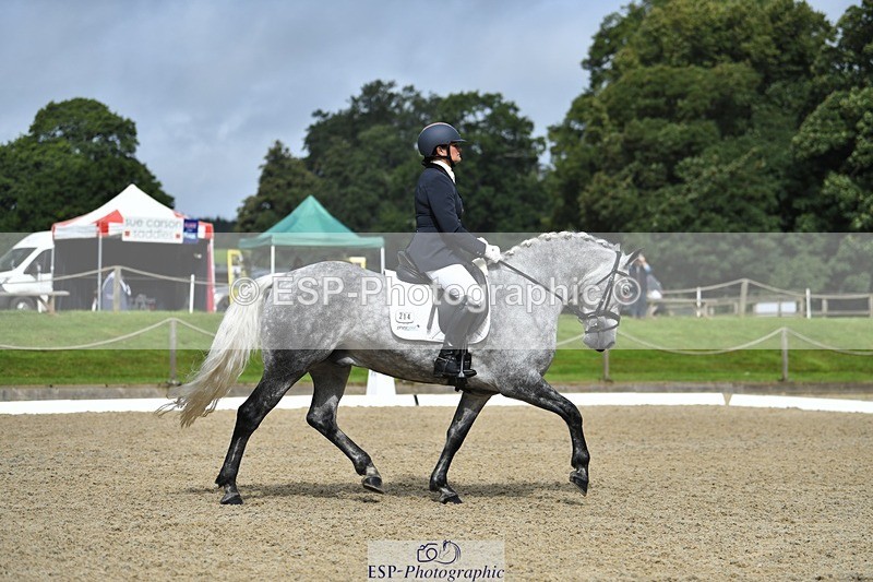 230812-103904-03423 - Cls 6 Novice Silver 10.30 to 11.55 break