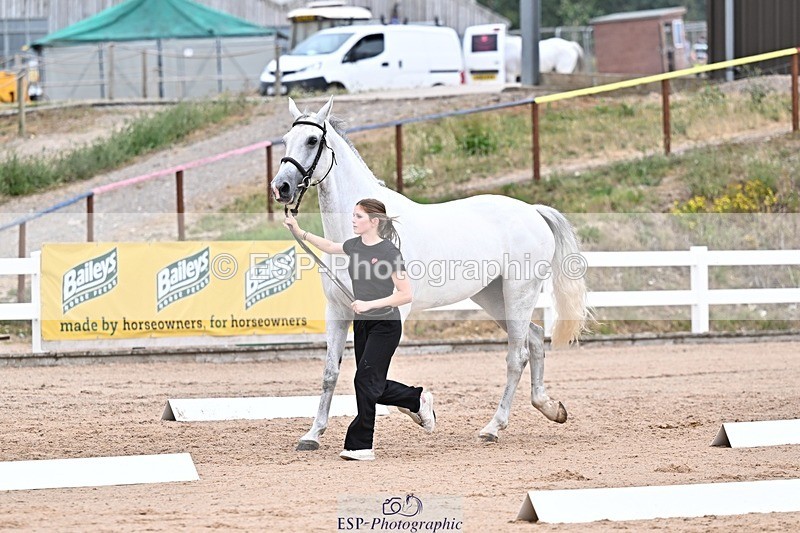 250716-134139-00637 - Trot Up 1.30 to 2.30