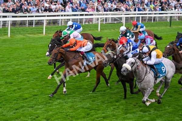 200825-Race 7-Rubys Angel-2060 - Race 7 5.20pm Sky Bet Nursery Handicap