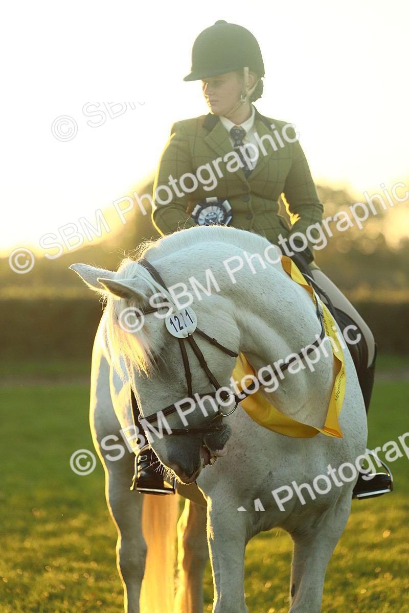 SBM_56703 - Fun & Versatile Supreme Championship
