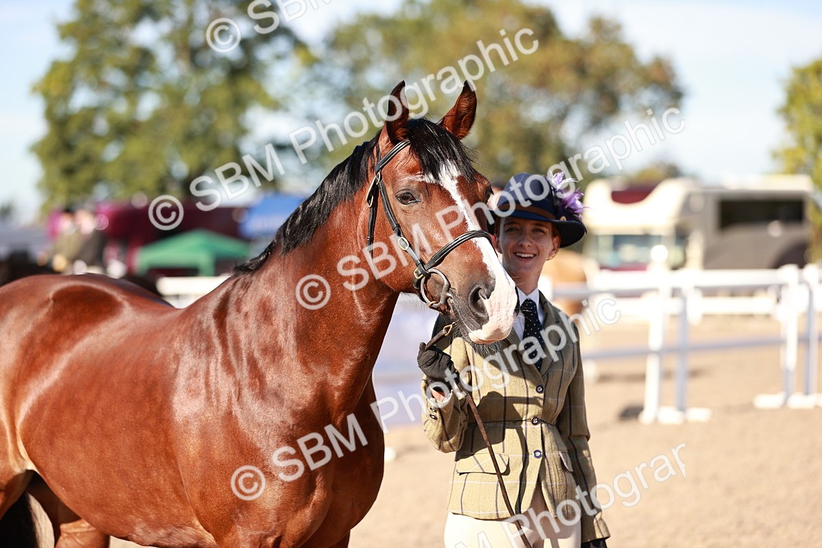 SBM_11427 - Class 402 - IH  Veteran pony