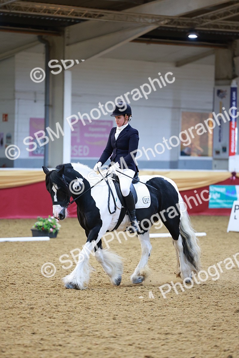 SBM_06480 - Class 61 - Dressage to Music