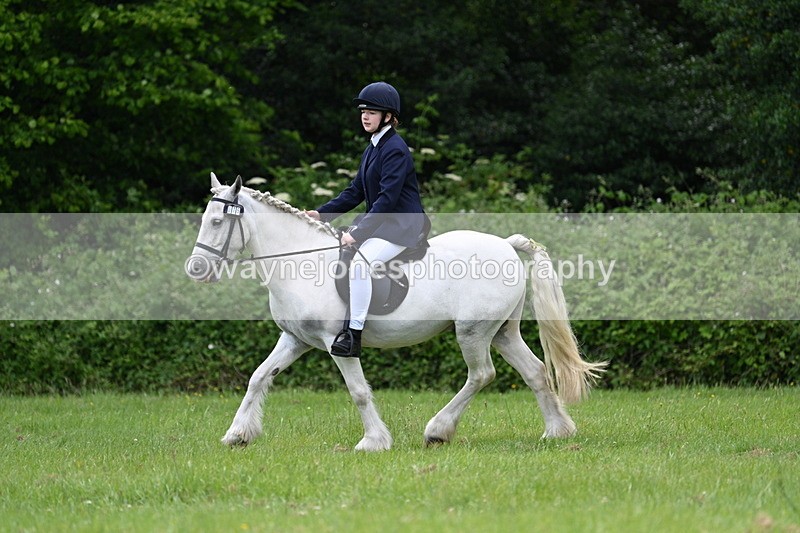 WJ7_2619 - Class 12A Coloured Class