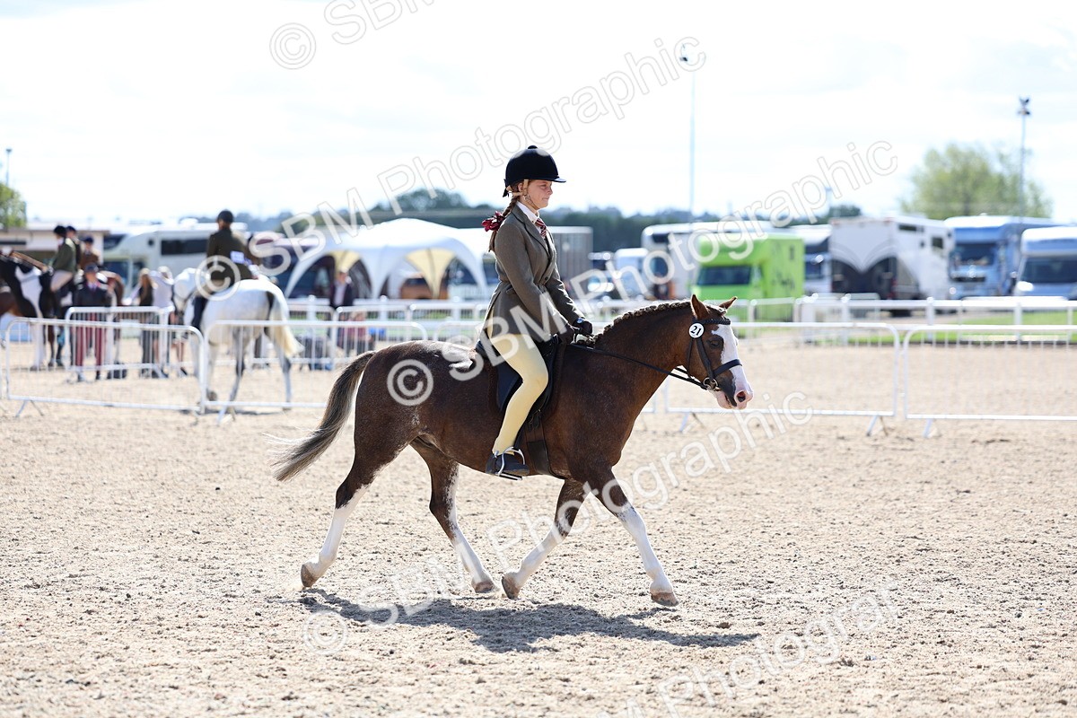 SBM_13329 - Class 311 - Ridden Show Pony Show Hunter Pony