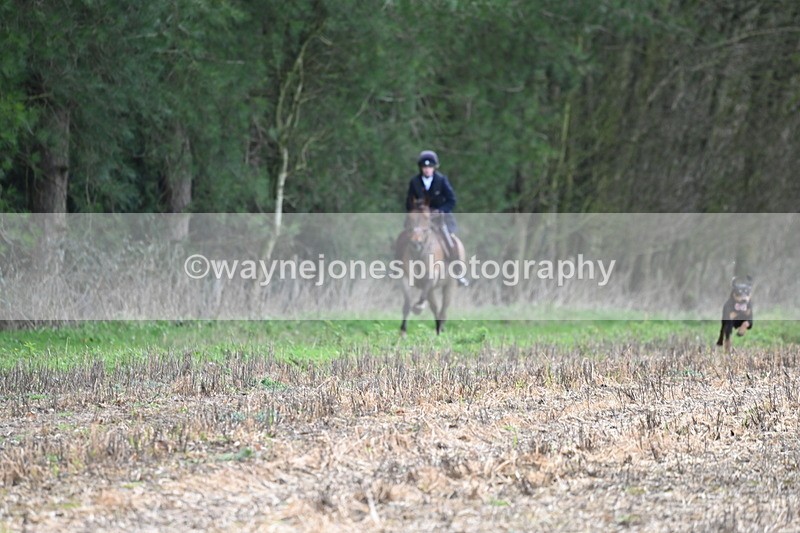 WJ6_9499 - Line Four