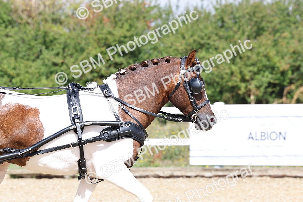 SBM_001024 - Class 10 - Veteran Driver