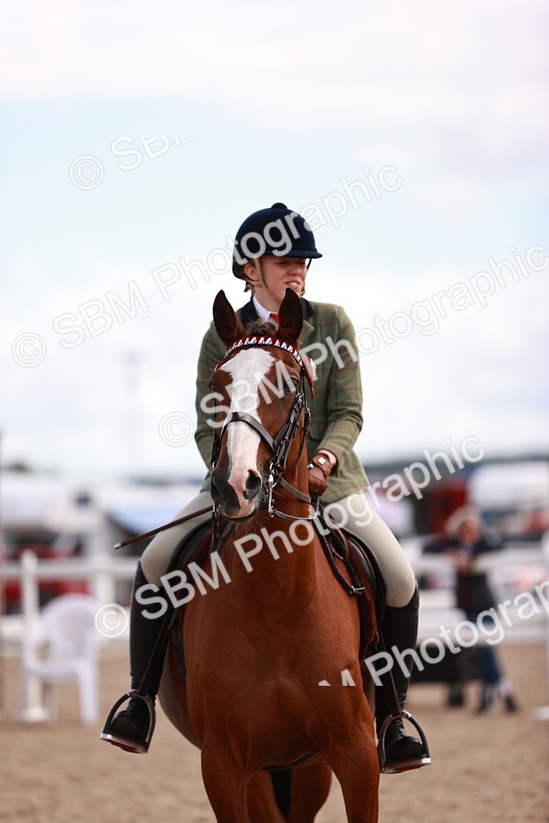 SBM_14466 - Class 410 - Grassroots Ridden - Horse