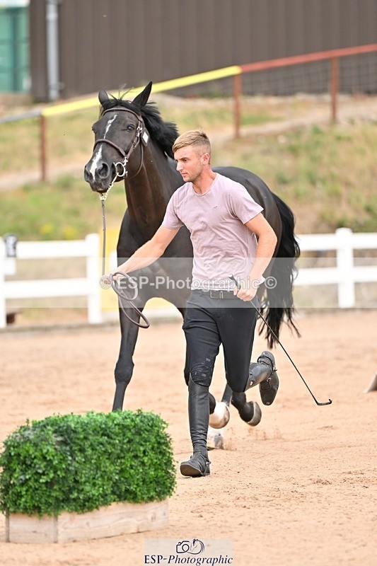 250716-150455-01616 - Trot Up 2.30 to 3.30