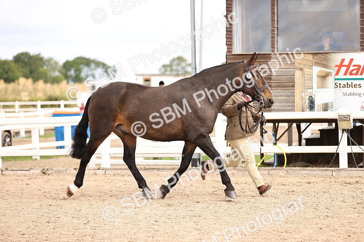 SBM_10360 - Class 405 - IH Show Cob