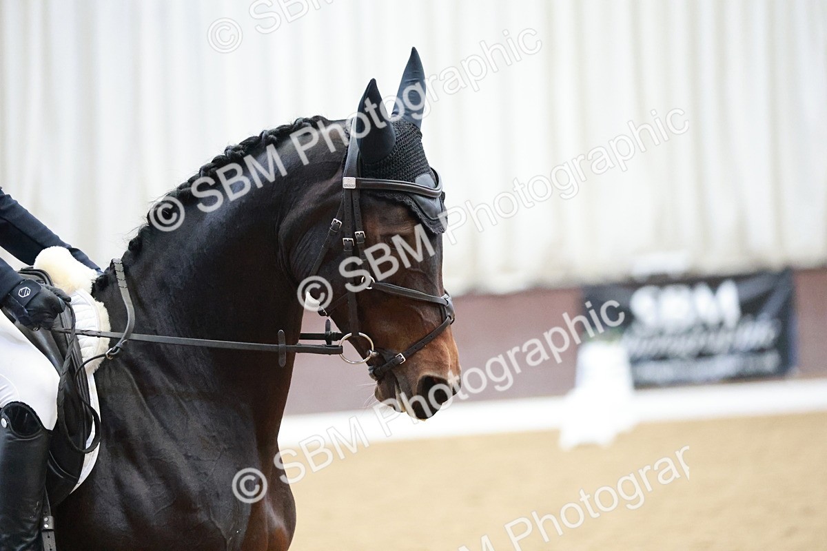 SBM_004425 - Class 2 - Novice 2020