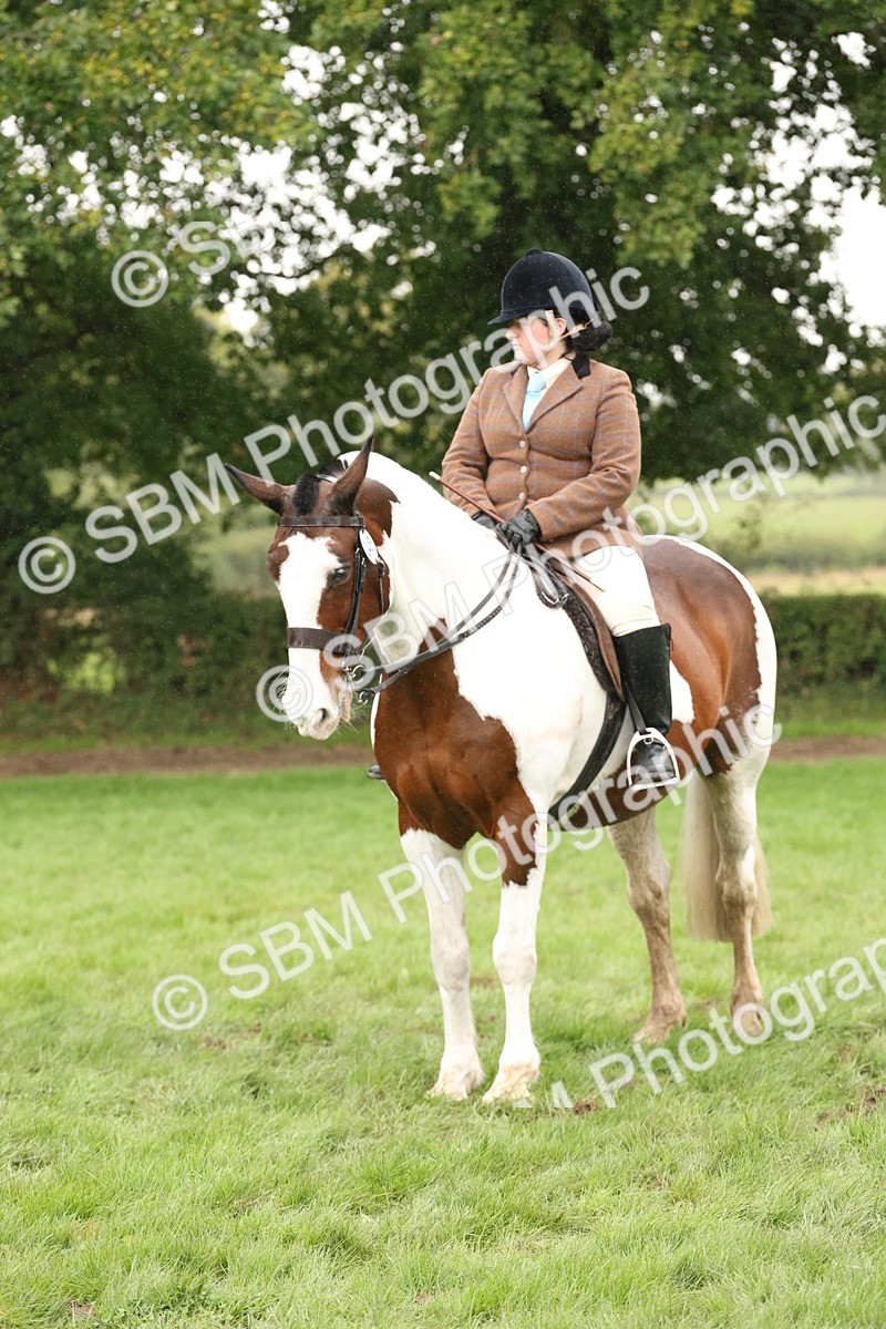 SBM_69829 - S69 - Show Cob Ridden