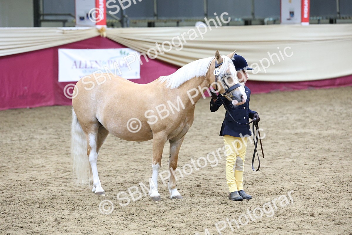 SBM_19983 - Class A - Junior Champ 10yr and Under