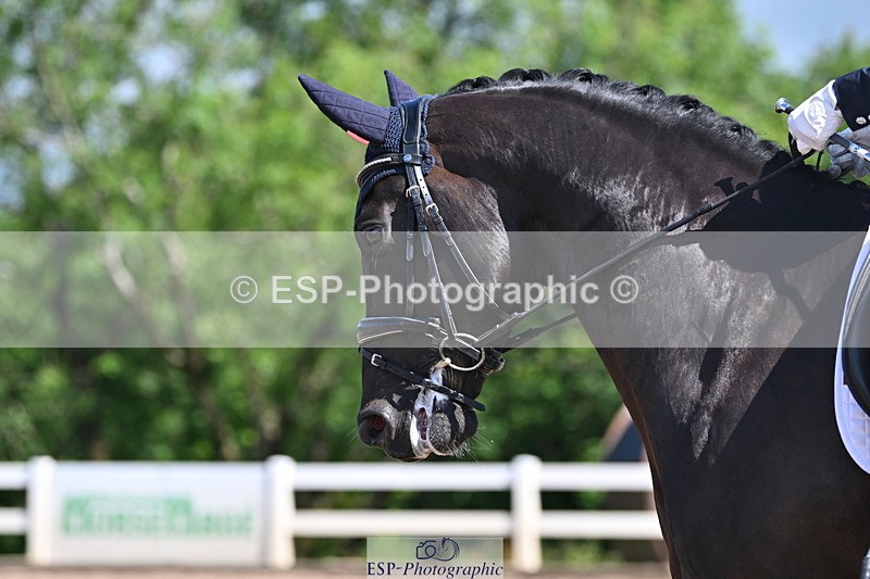 240622A-101036-08107 - Cls 28 BD Music Novice