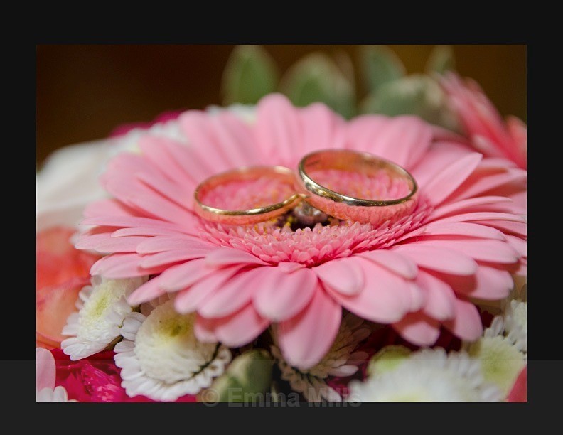  - Wedding Photography