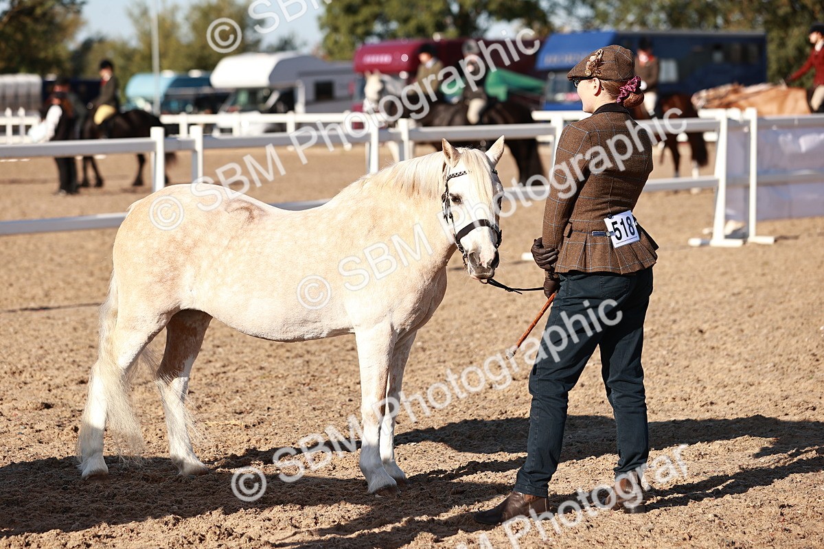 SBM_11418 - Class 402 - IH  Veteran pony