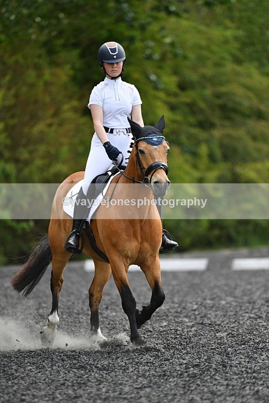 WJ5_1046 - Time 13:45 to 14:20