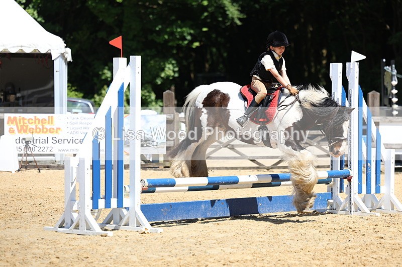 3E7A2579 - Class 4/5: 60cm Open Teams and Individuals