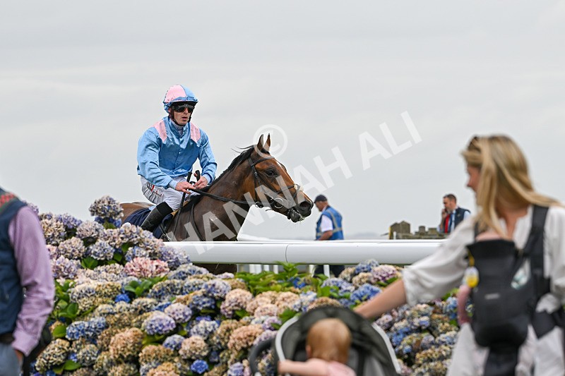 140824-Race 1-Lord Roxby-5821 - Race 1