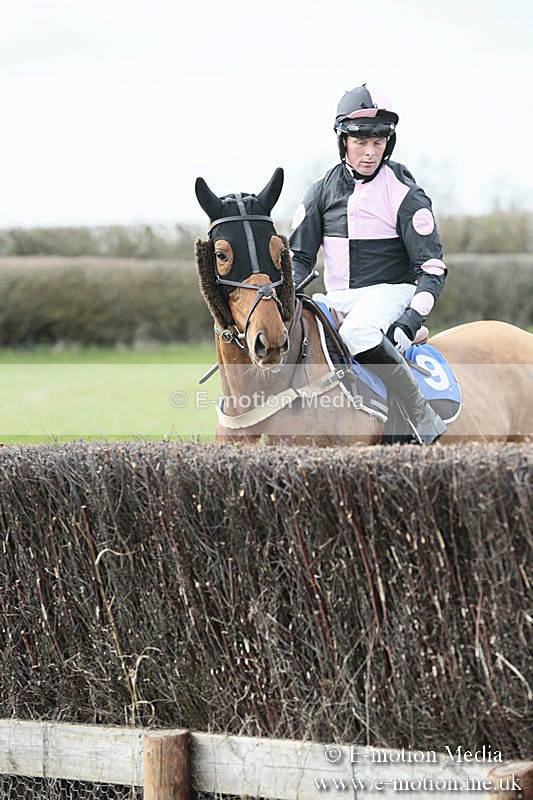 PtP 230319 206 - VWH Hunt Siddington Point-to-Point Racing 23/03/19