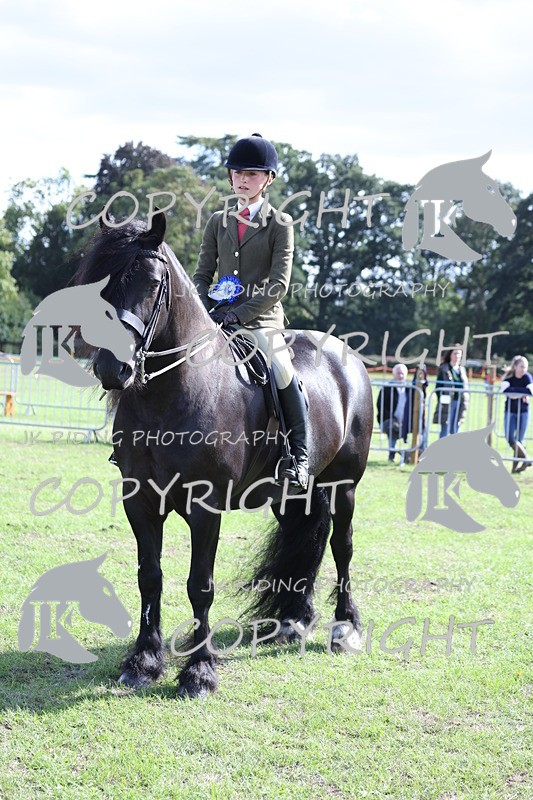 APP_3706 - Class 12 M&M ridden