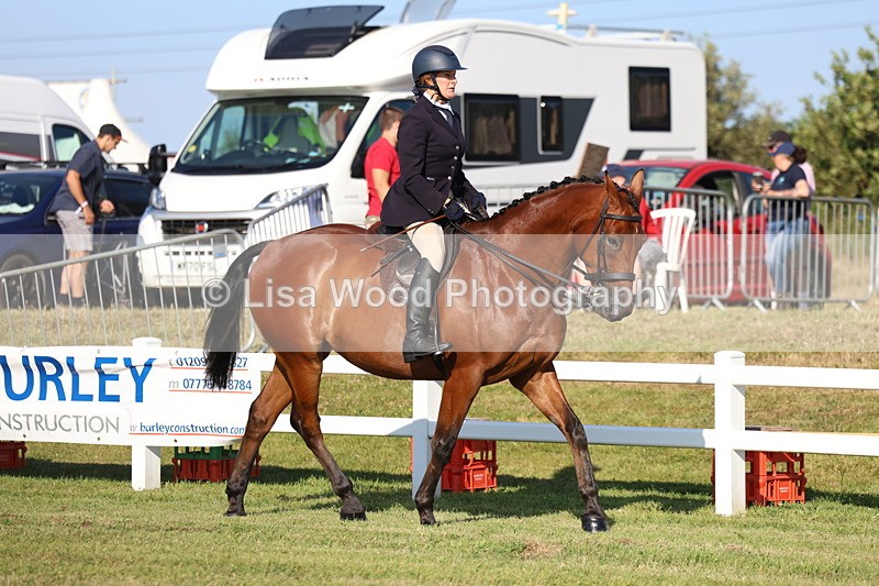 3E7A5272 - Class 2: Rising Star Large Hack/Riding Horse