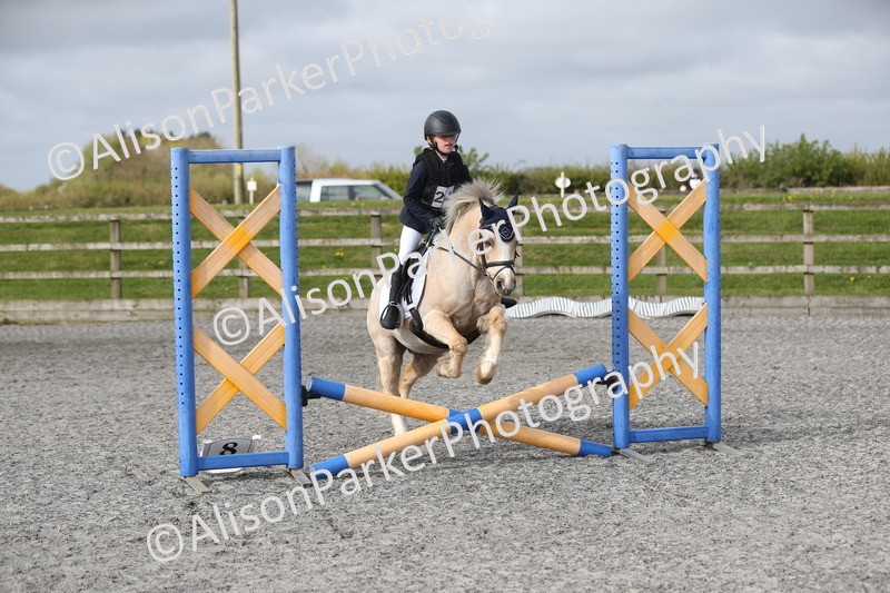 20260412-0104 - Show Jumping