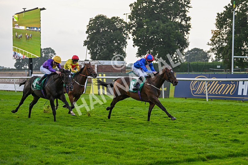 070924-Race 8-Desert Falcon-8088 - Race 8