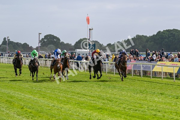 150525-Tropical Storm-4852 - Race 5 4.18pm British Stallion Studs EBF Westow Stakes