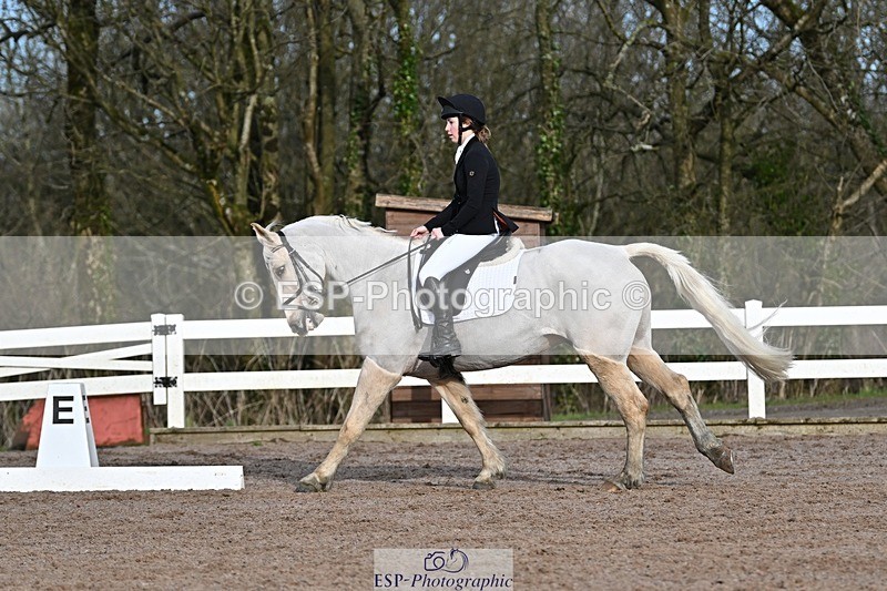 250125-111440-00297 - Dressage - CT Class 5 BE95 (90cm)